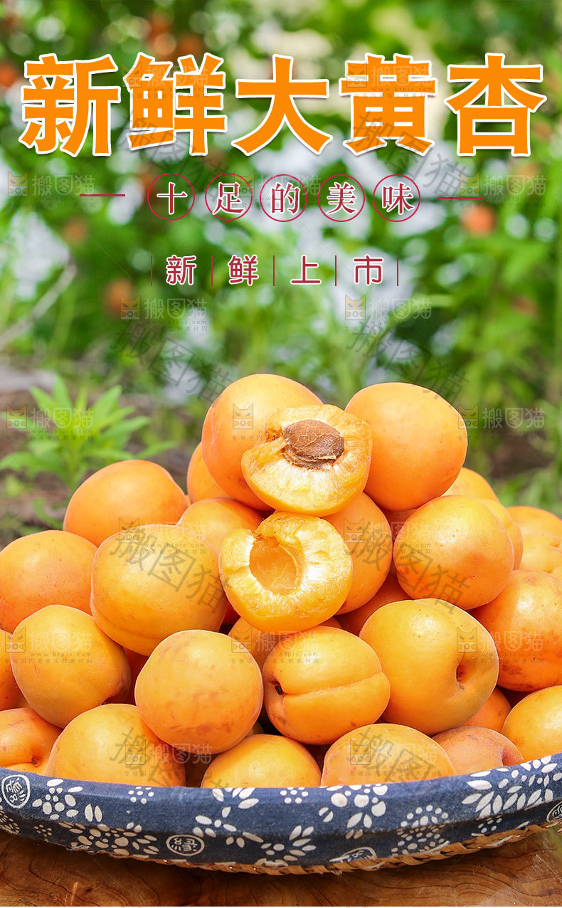新鲜大黄杏详情页