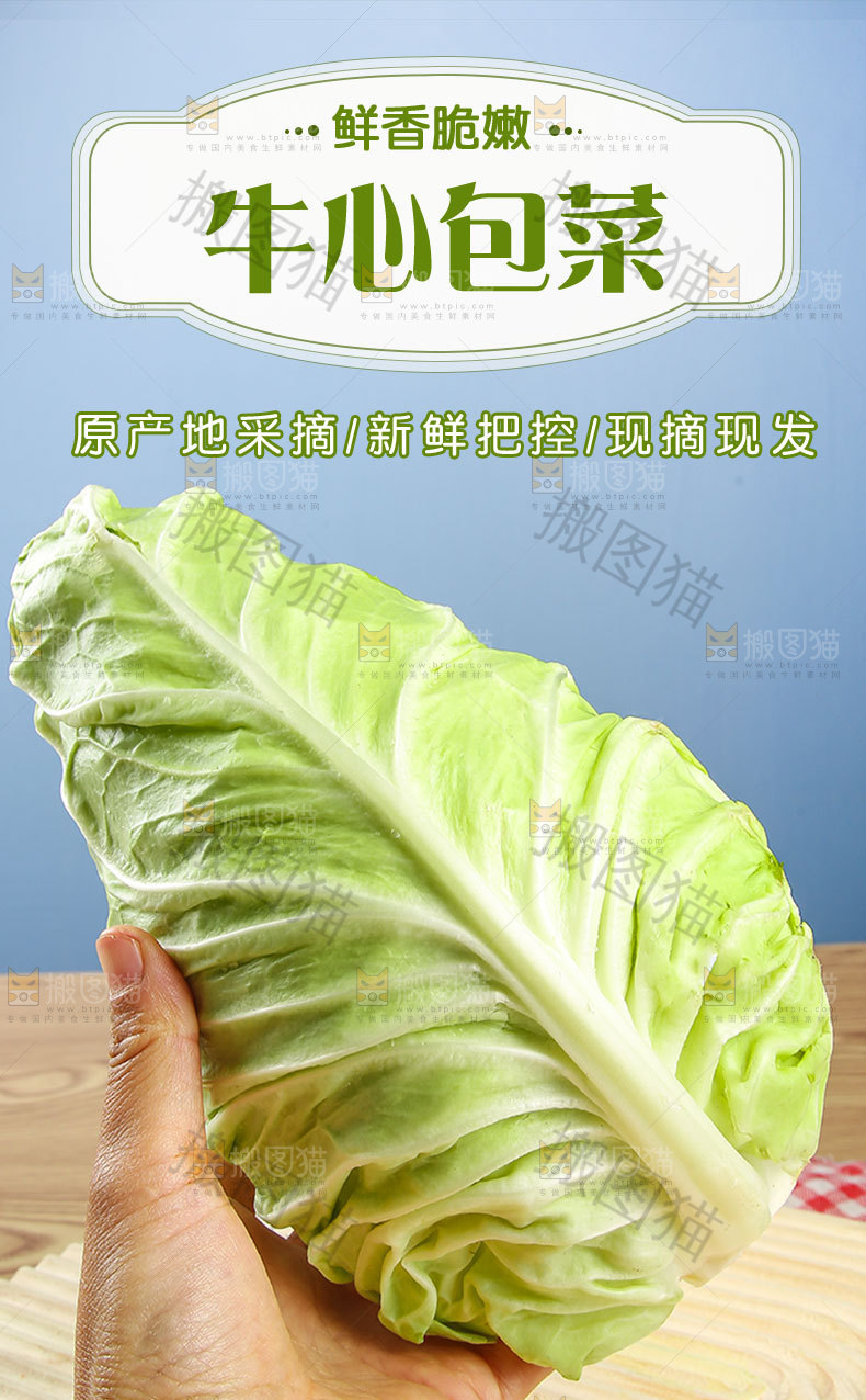 牛心包菜详情页