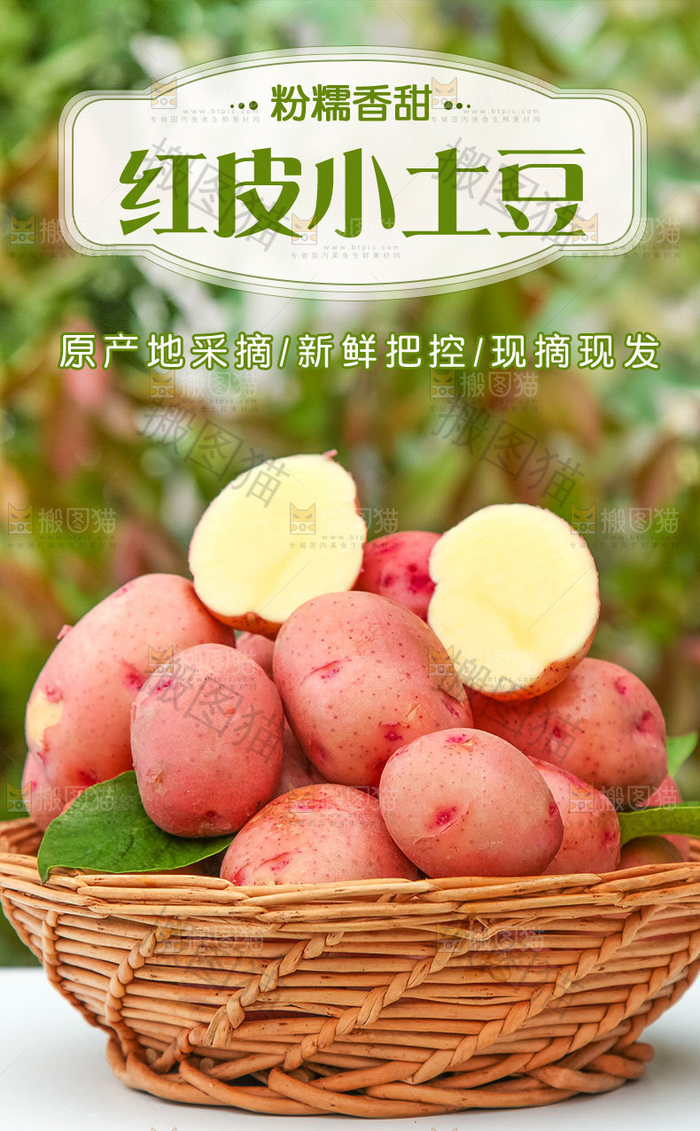 新鲜红皮土豆详情页