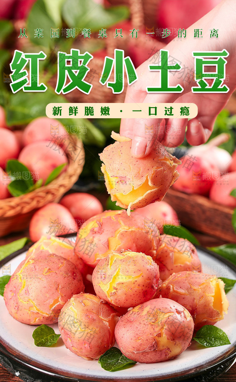 红皮小土豆详情页