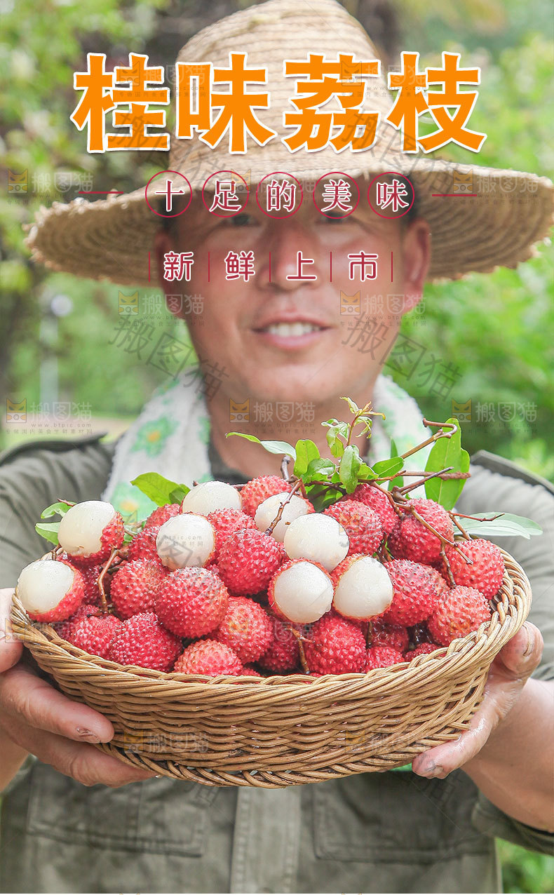 桂味荔枝详情页