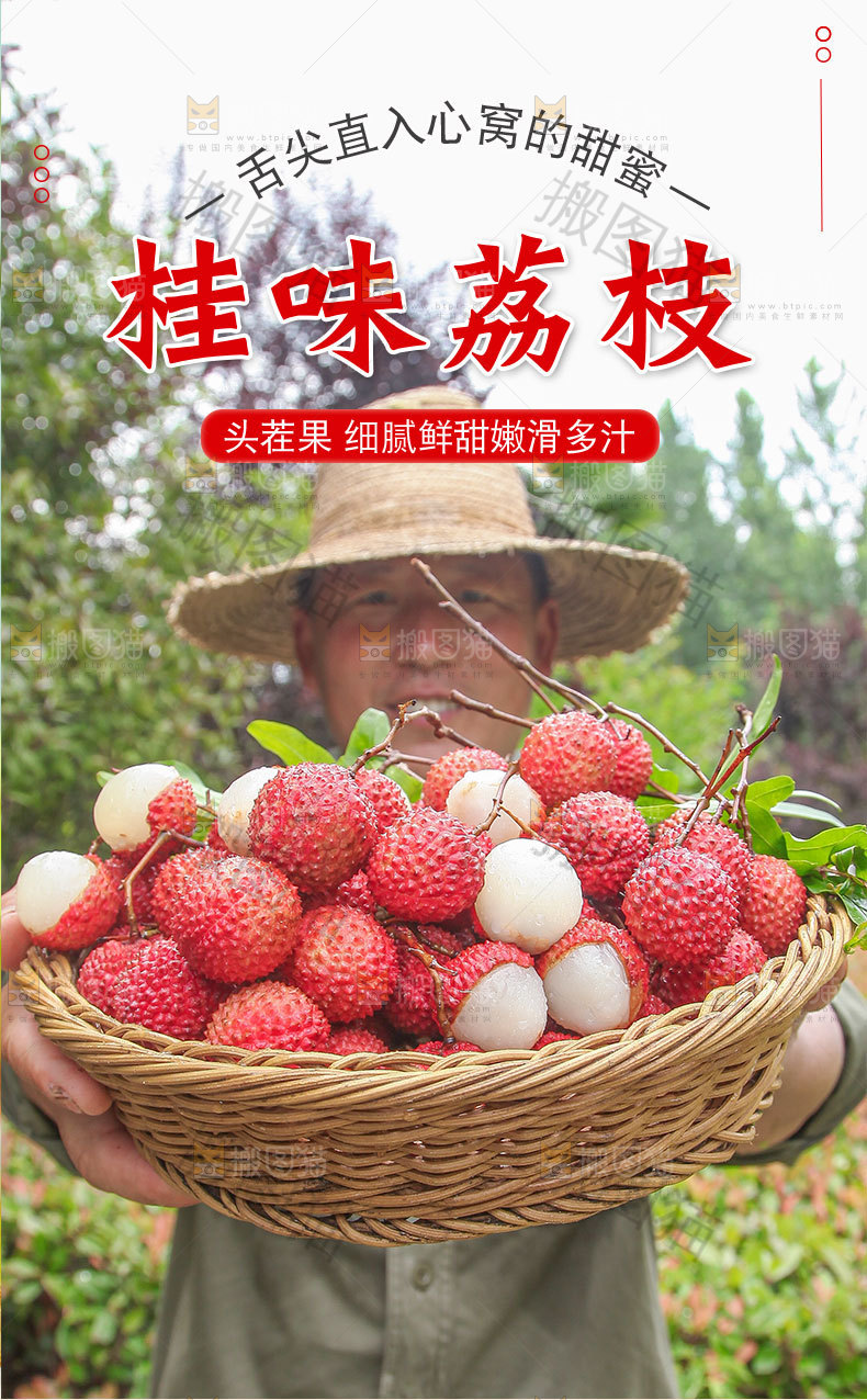 桂味荔枝详情页