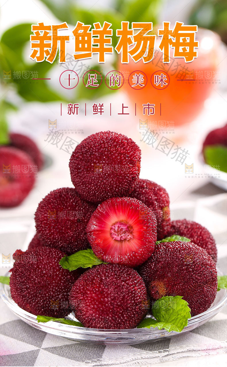 东魁杨梅详情页