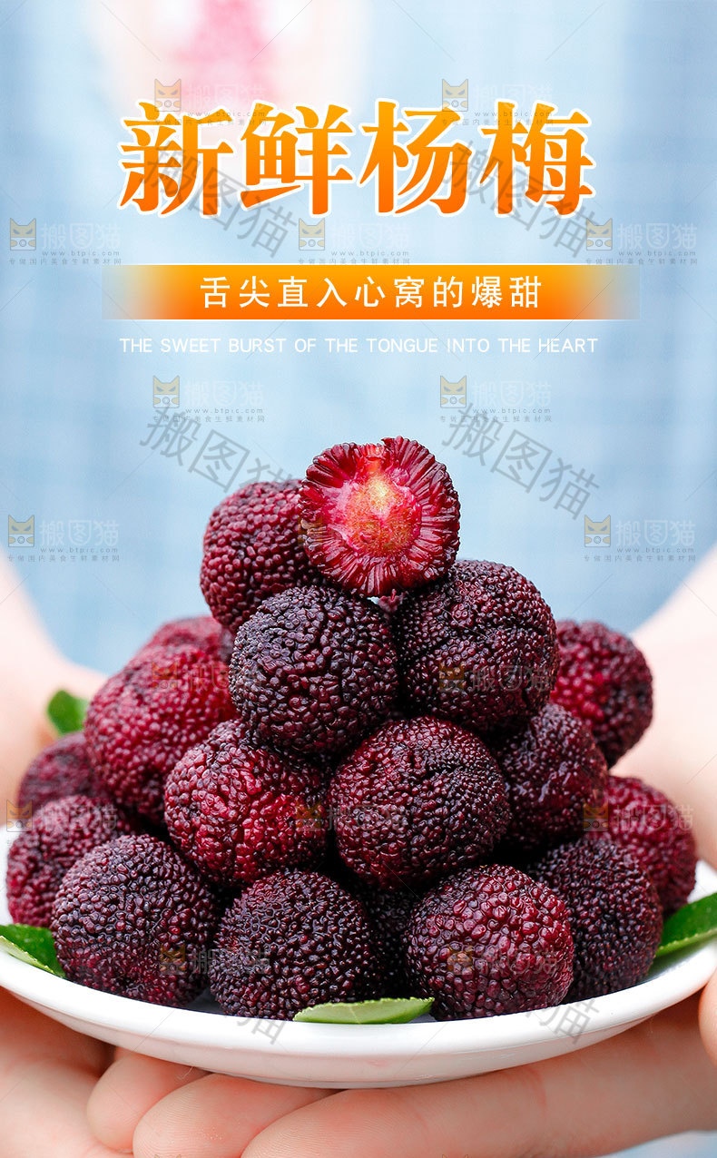 新鲜杨梅详情页
