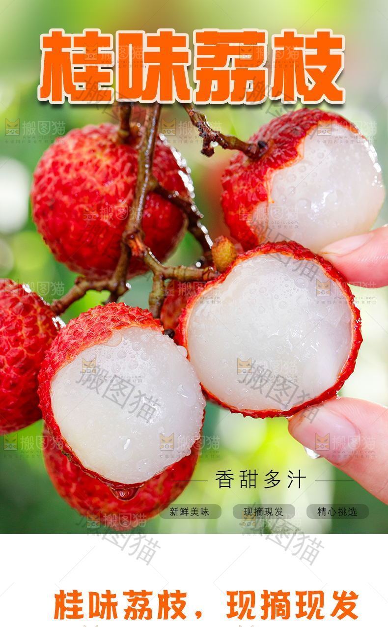 桂味荔枝详情页