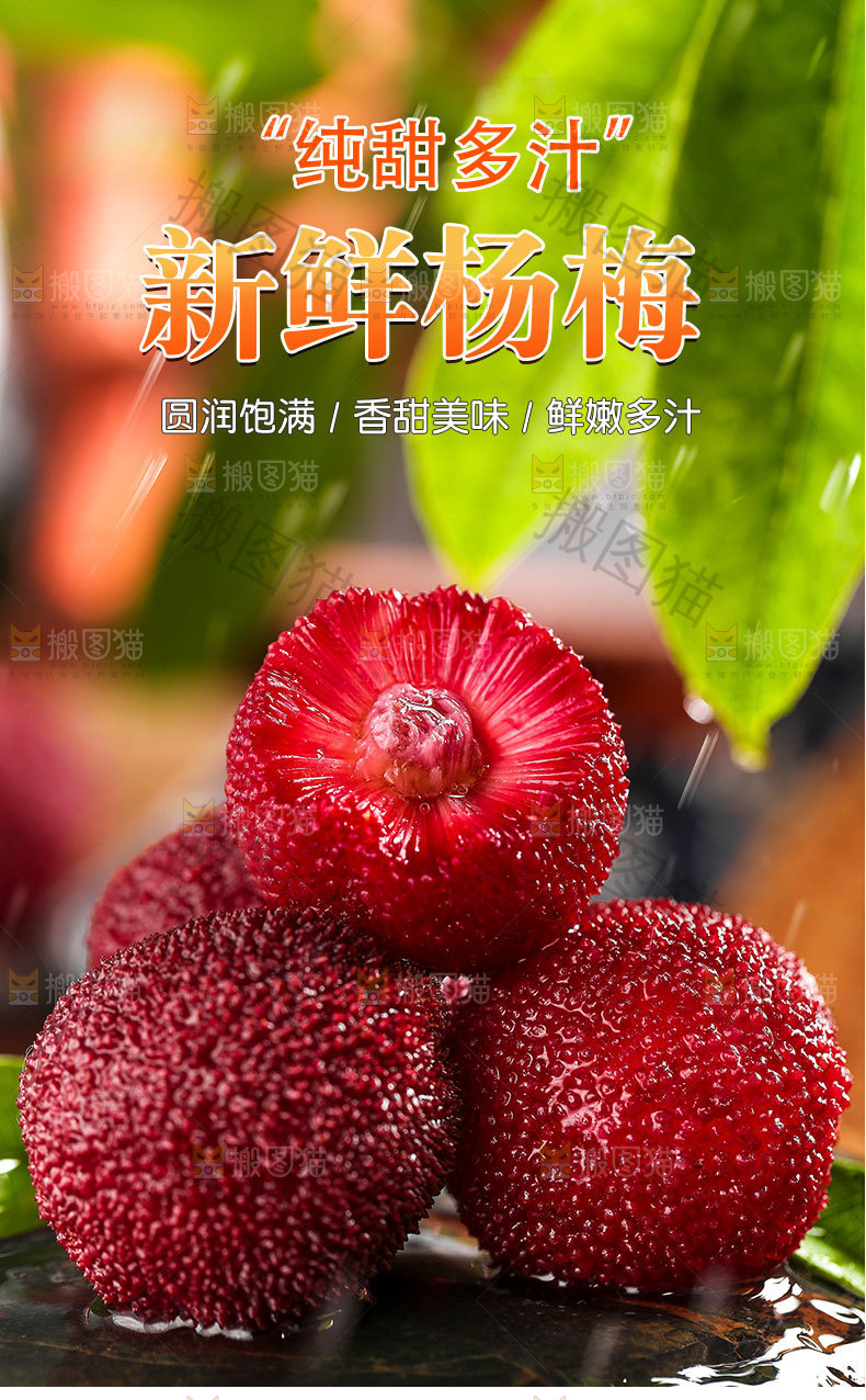 新鲜杨梅详情页