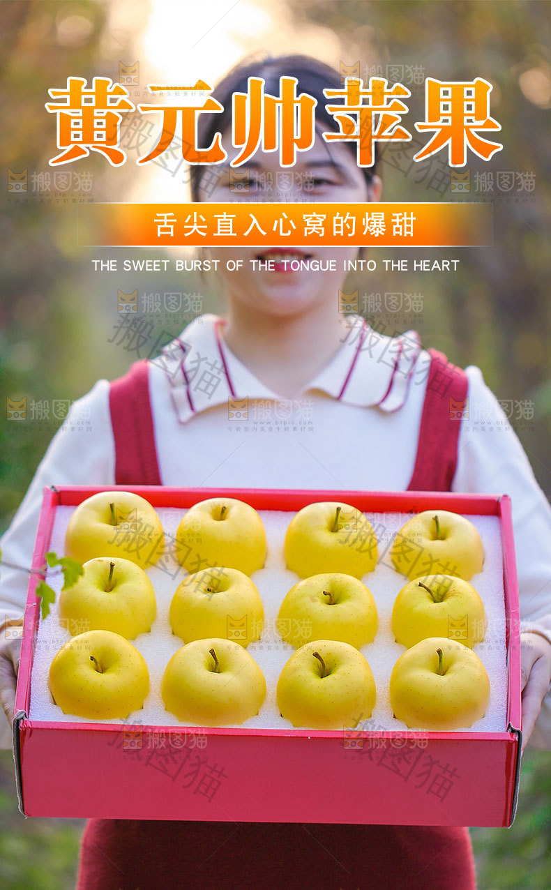 黄元帅苹果详情页