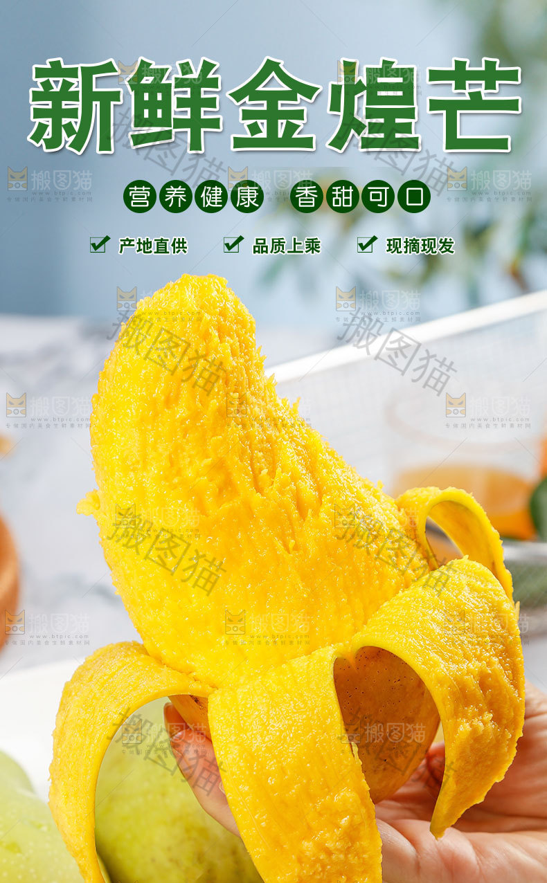 新鲜金煌芒详情页