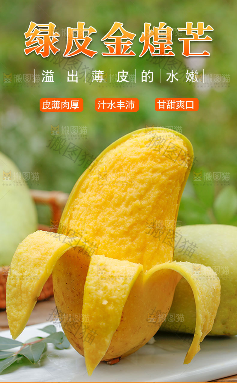 绿皮金煌芒详情页
