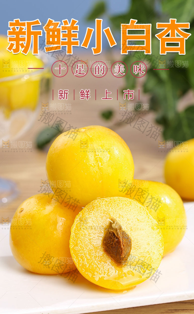 新疆小白杏详情页