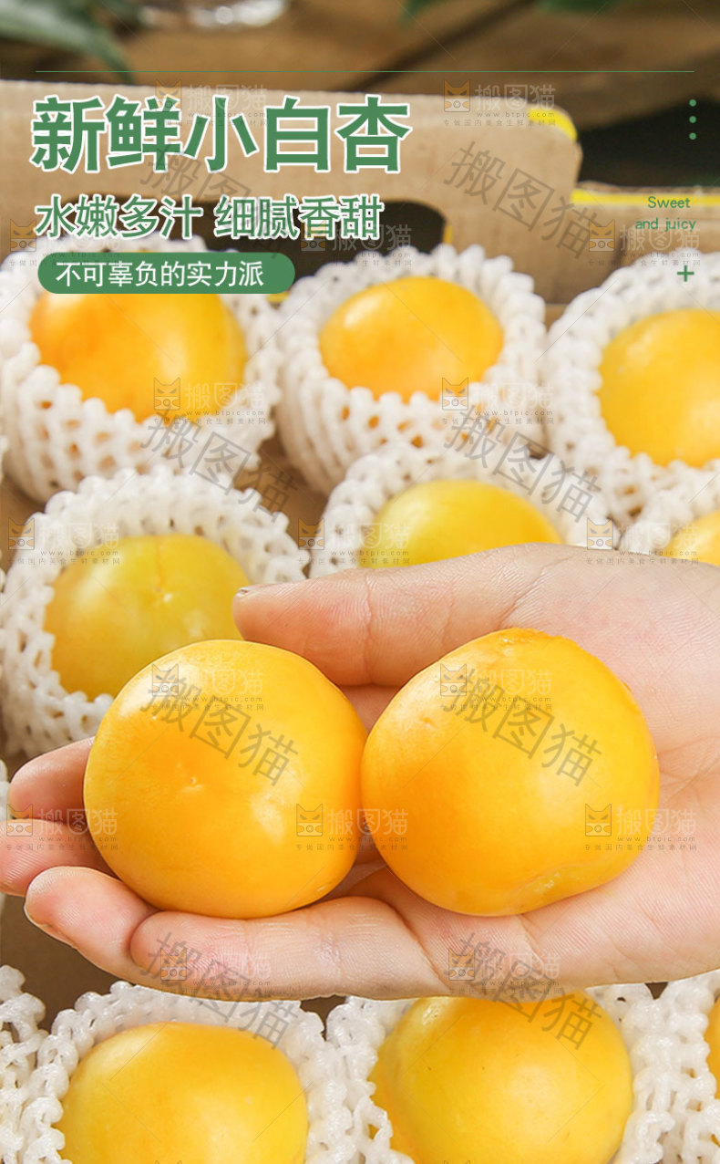 新疆小白杏详情页