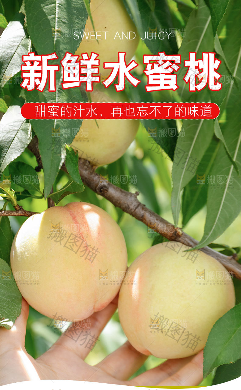 新鲜水蜜桃详情页