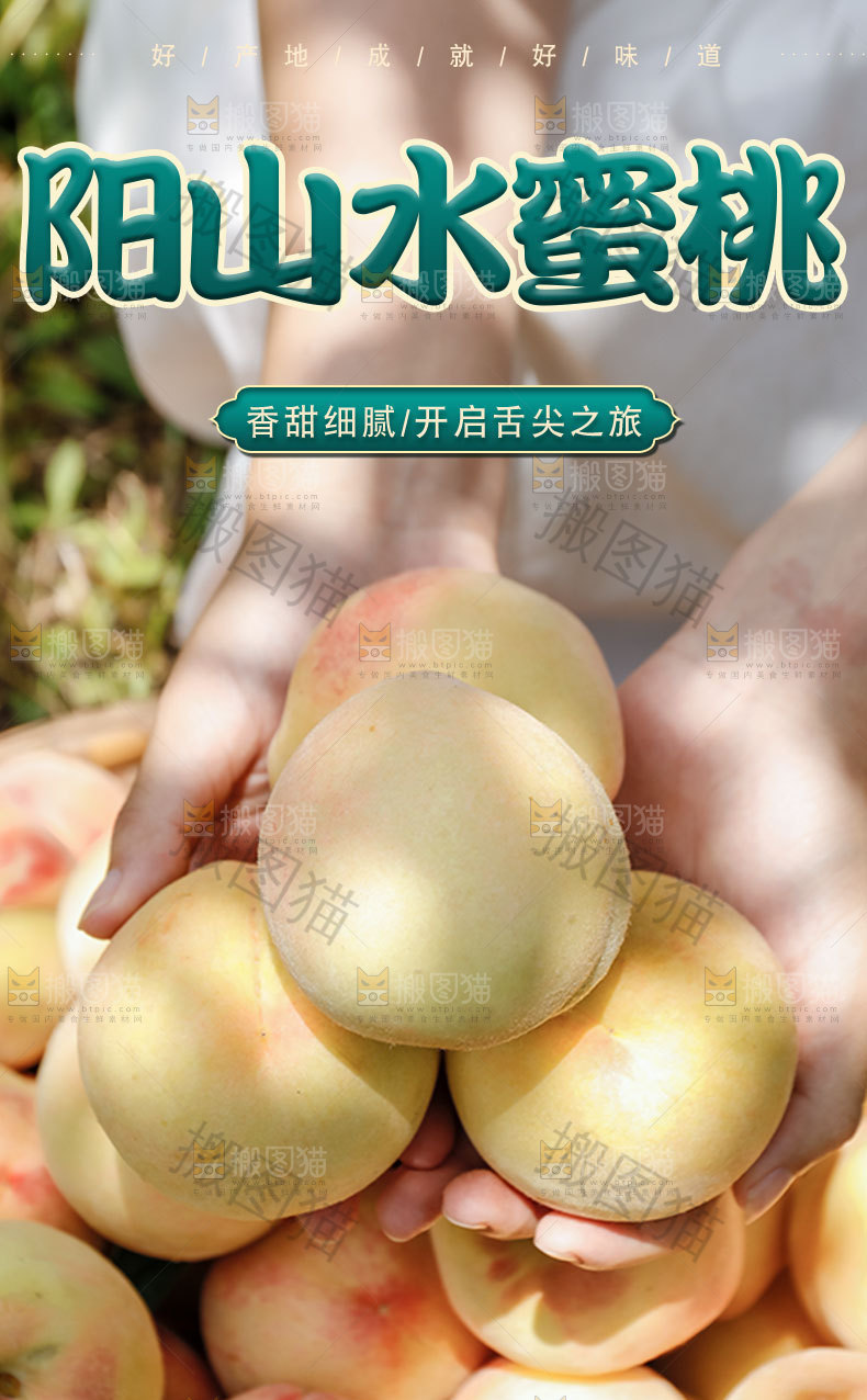 阳山水蜜桃详情页