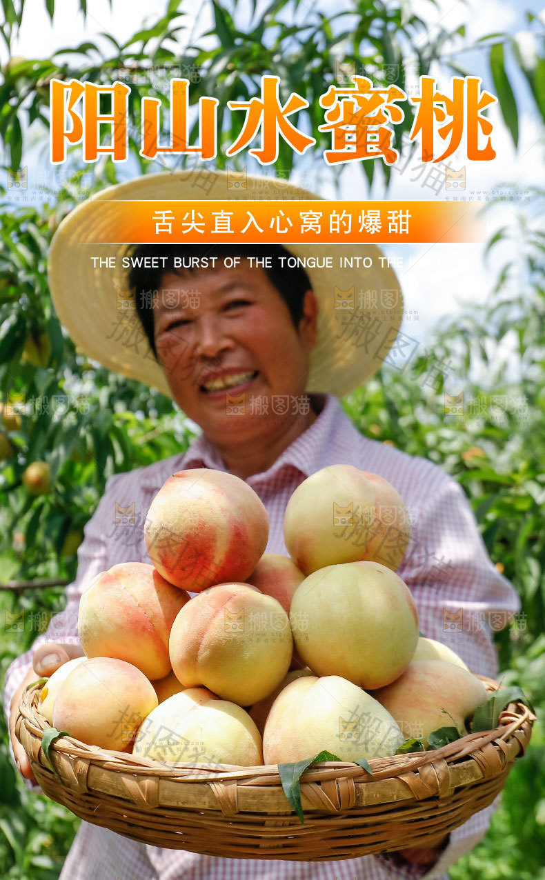 阳山水蜜桃详情页