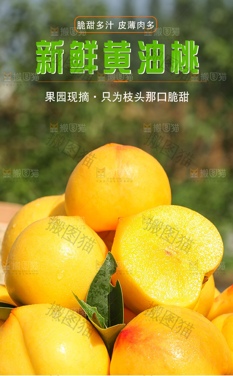新鲜黄油桃详情页
