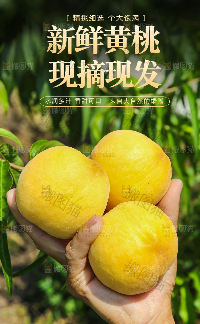 新鲜黄桃详情页