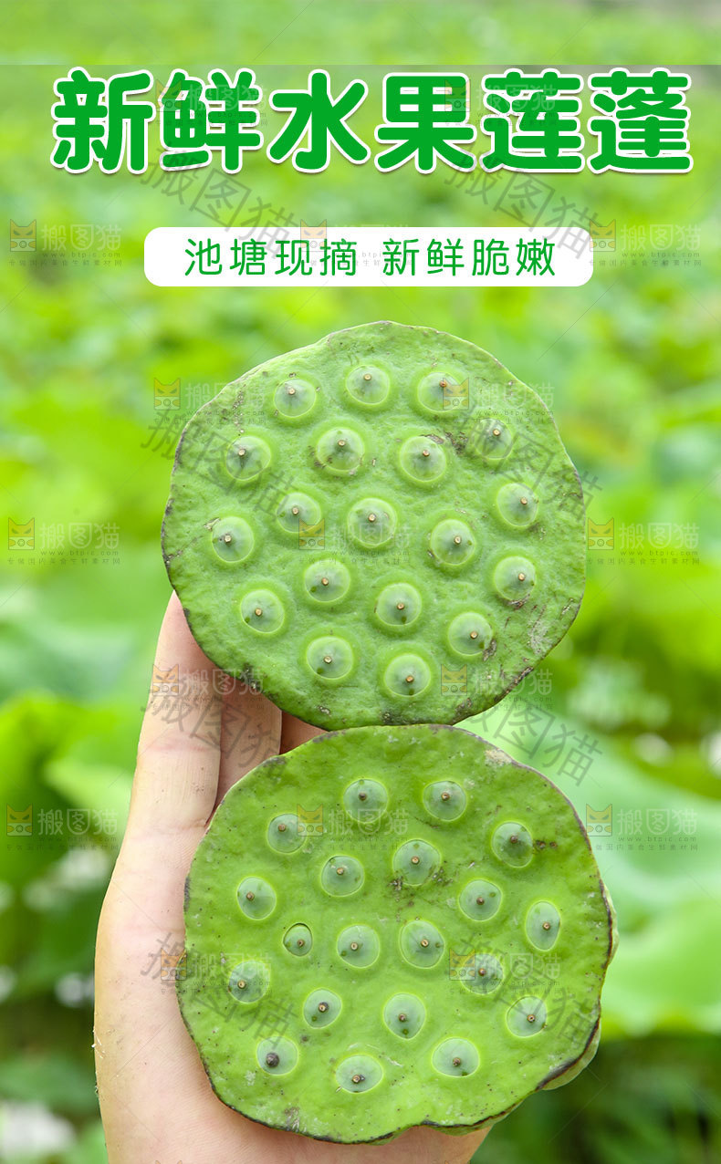 新鲜水果莲蓬详情页