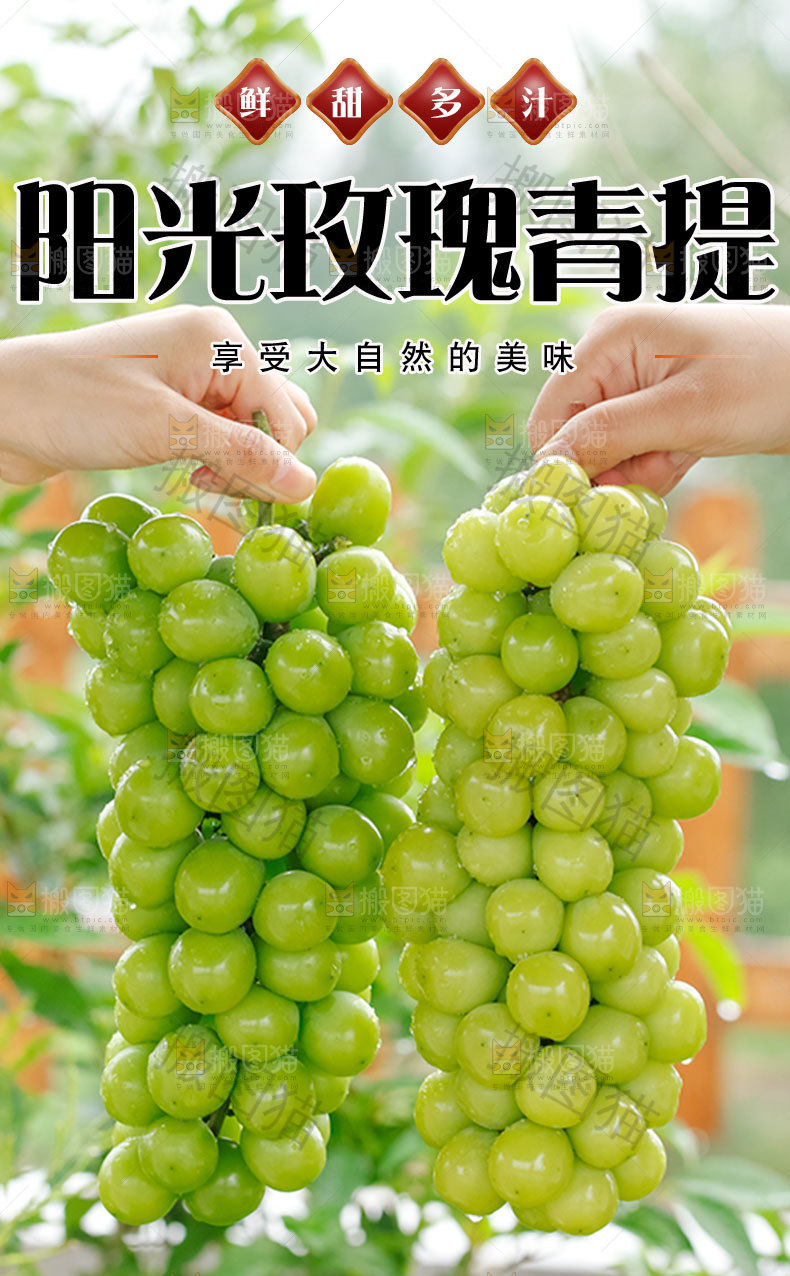 阳光玫瑰详情页