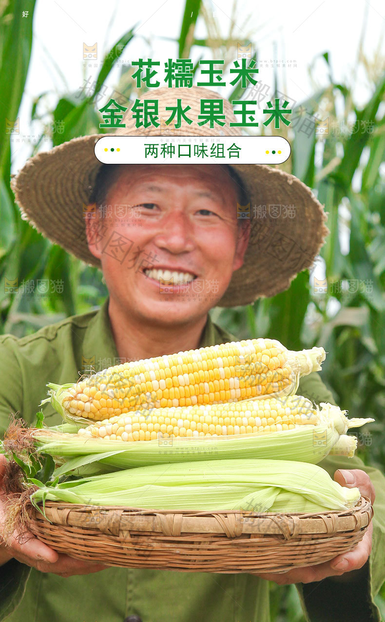 新鲜玉米组合详情