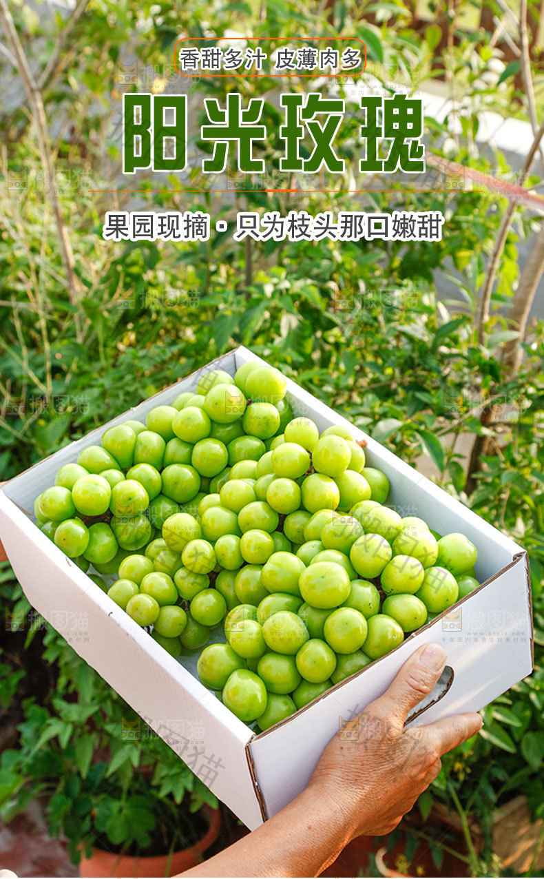 阳光玫瑰详情页