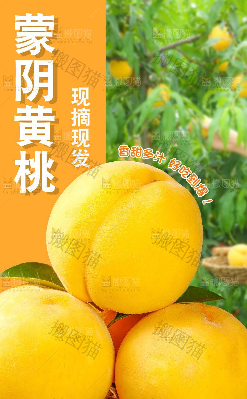 黄桃详情页