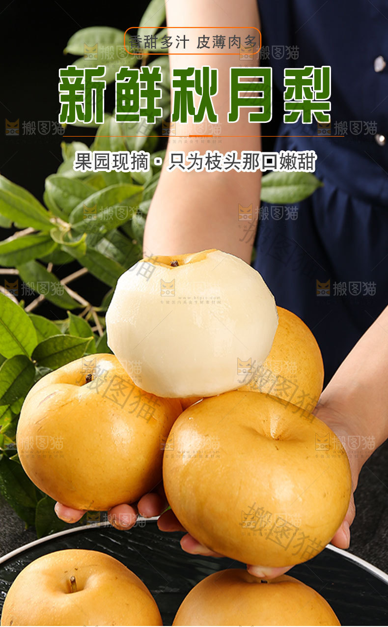新鲜秋月梨详情页
