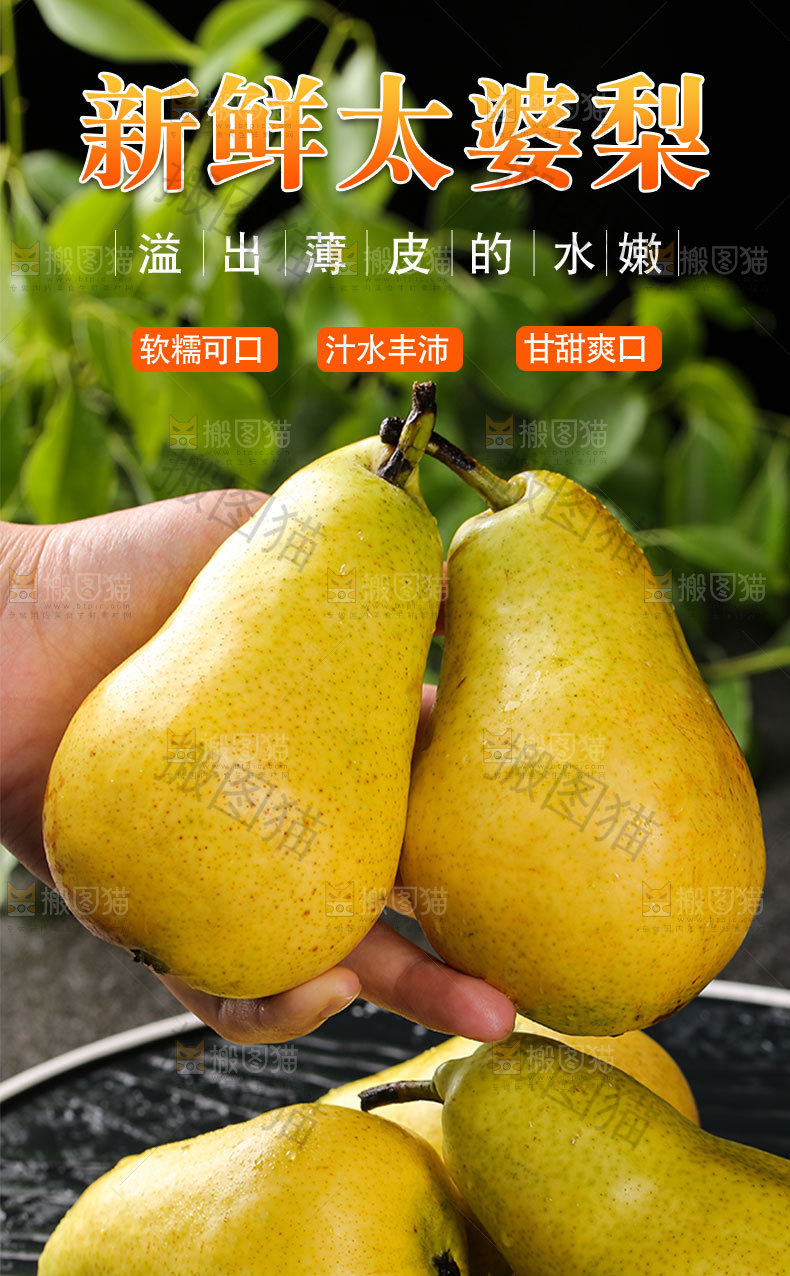 新鲜太婆梨详情页