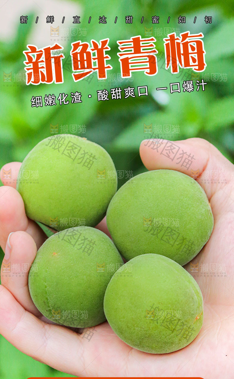 新鲜青梅详情页