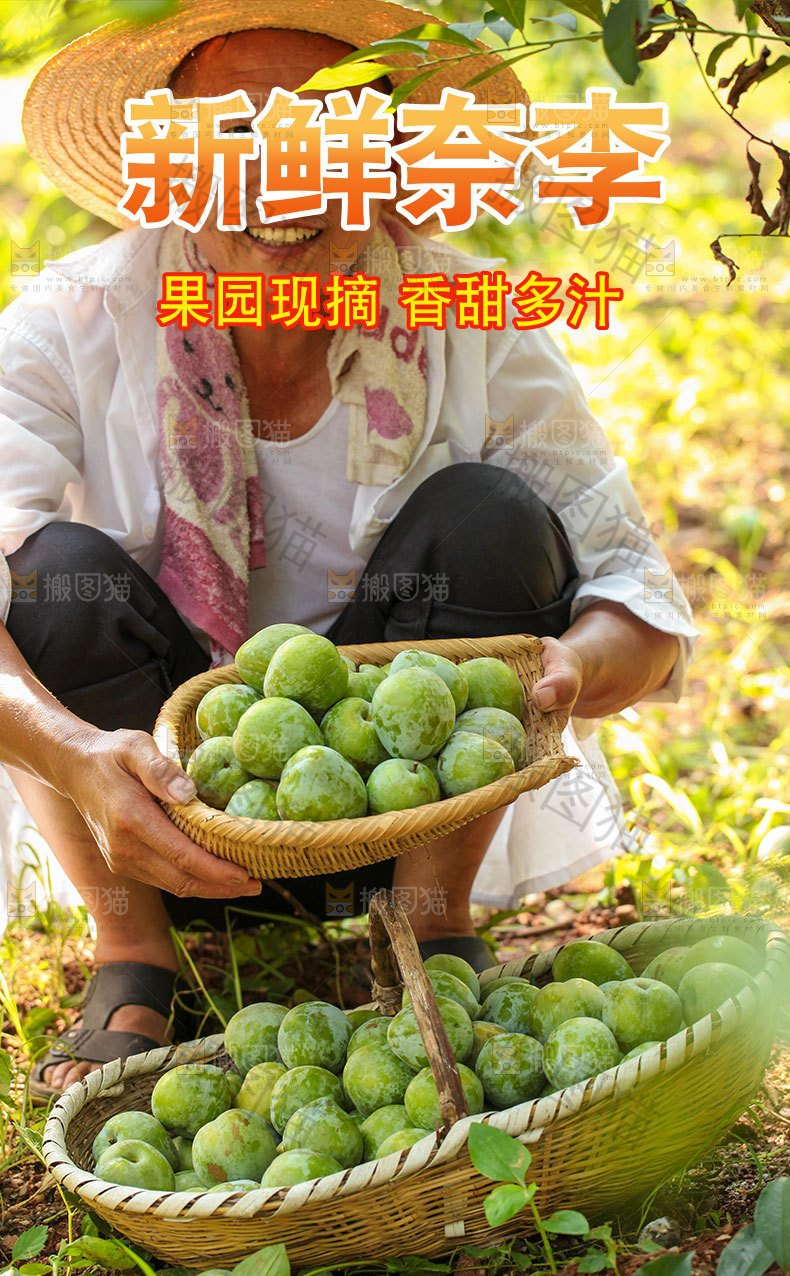 新鲜奈李详情页