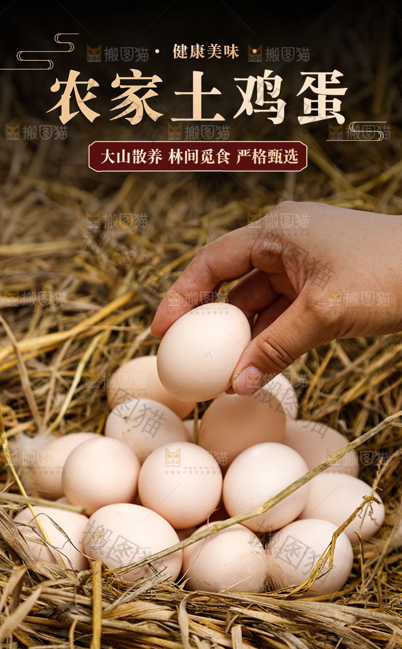 农家土鸡蛋详情页