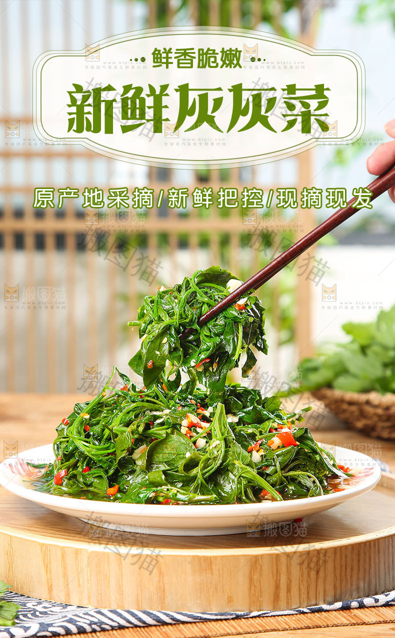 新鲜灰灰菜详情页