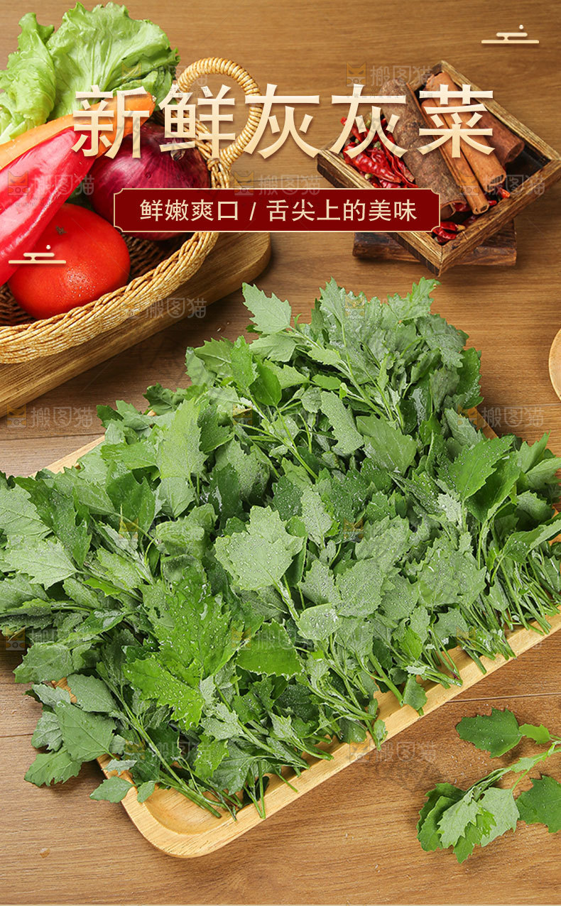 新鲜灰灰菜详情页
