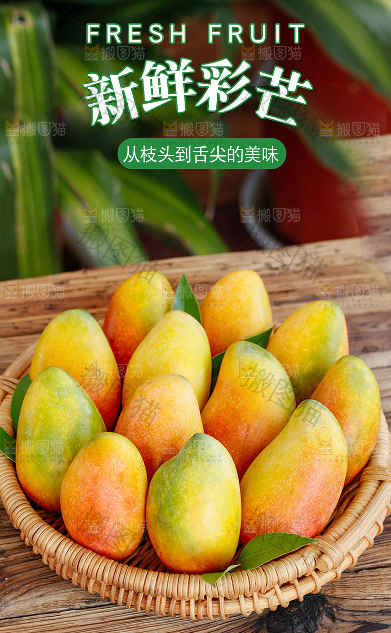 新鲜彩芒详情页