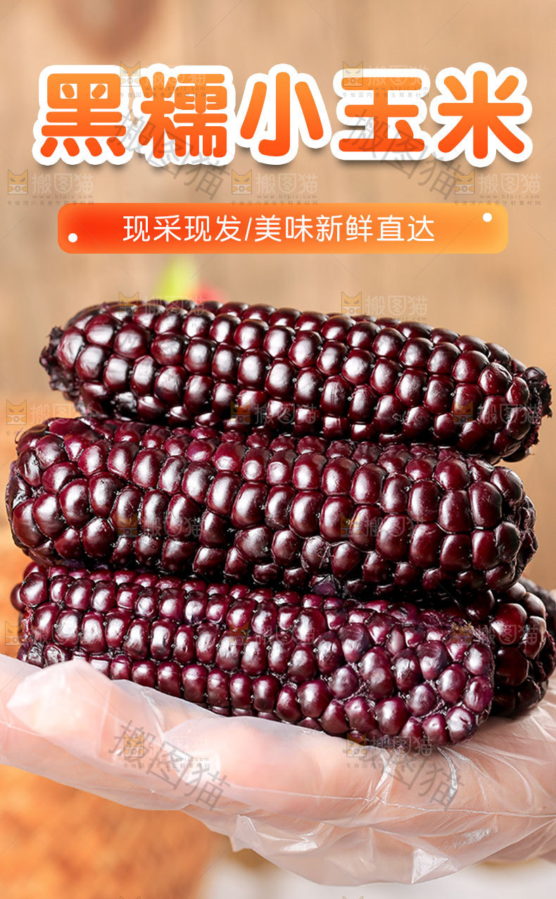 黑糯小玉米详情页