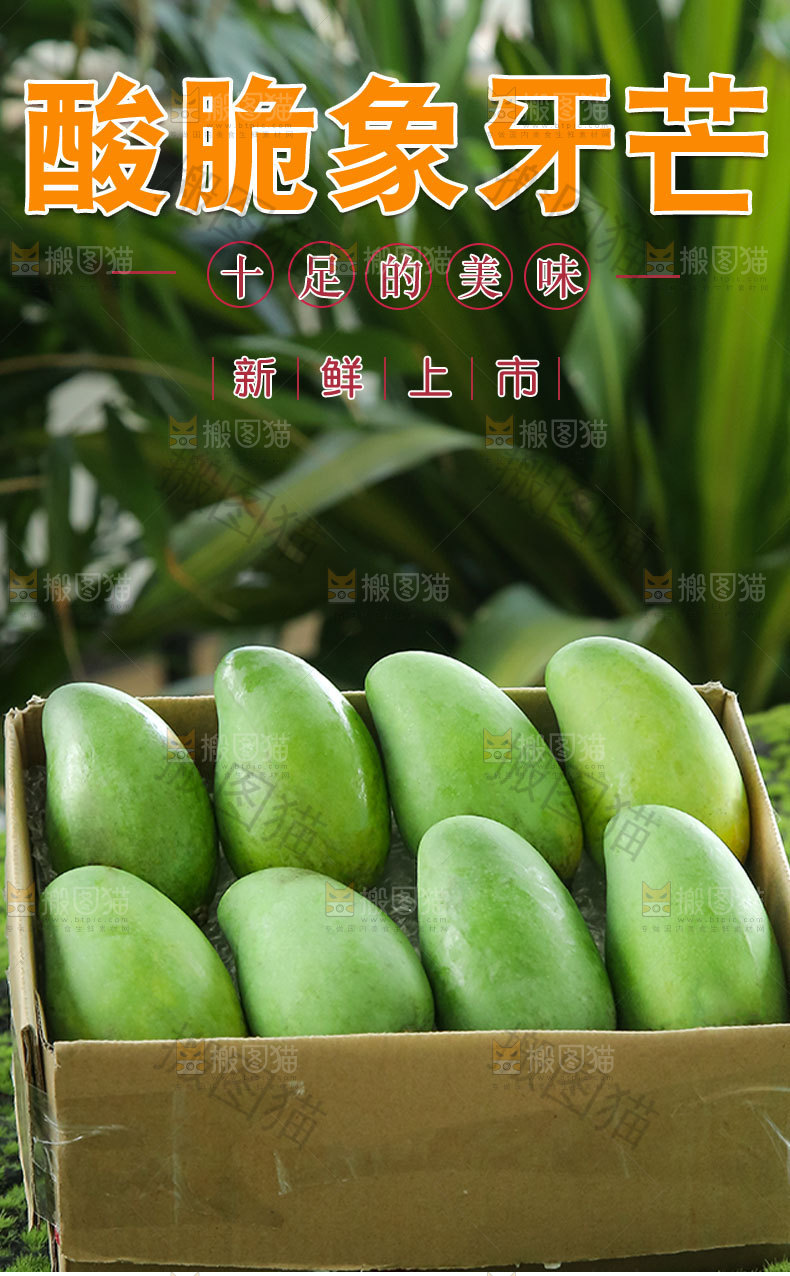 酸脆象牙芒详情页