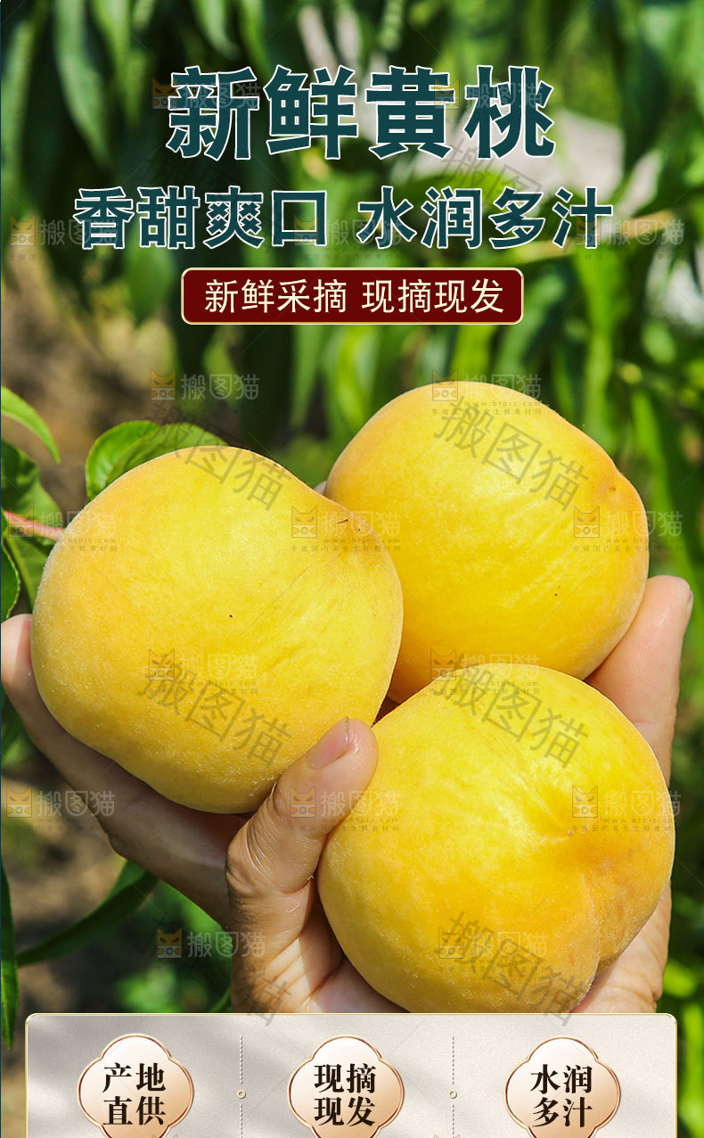 新鲜黄桃详情页