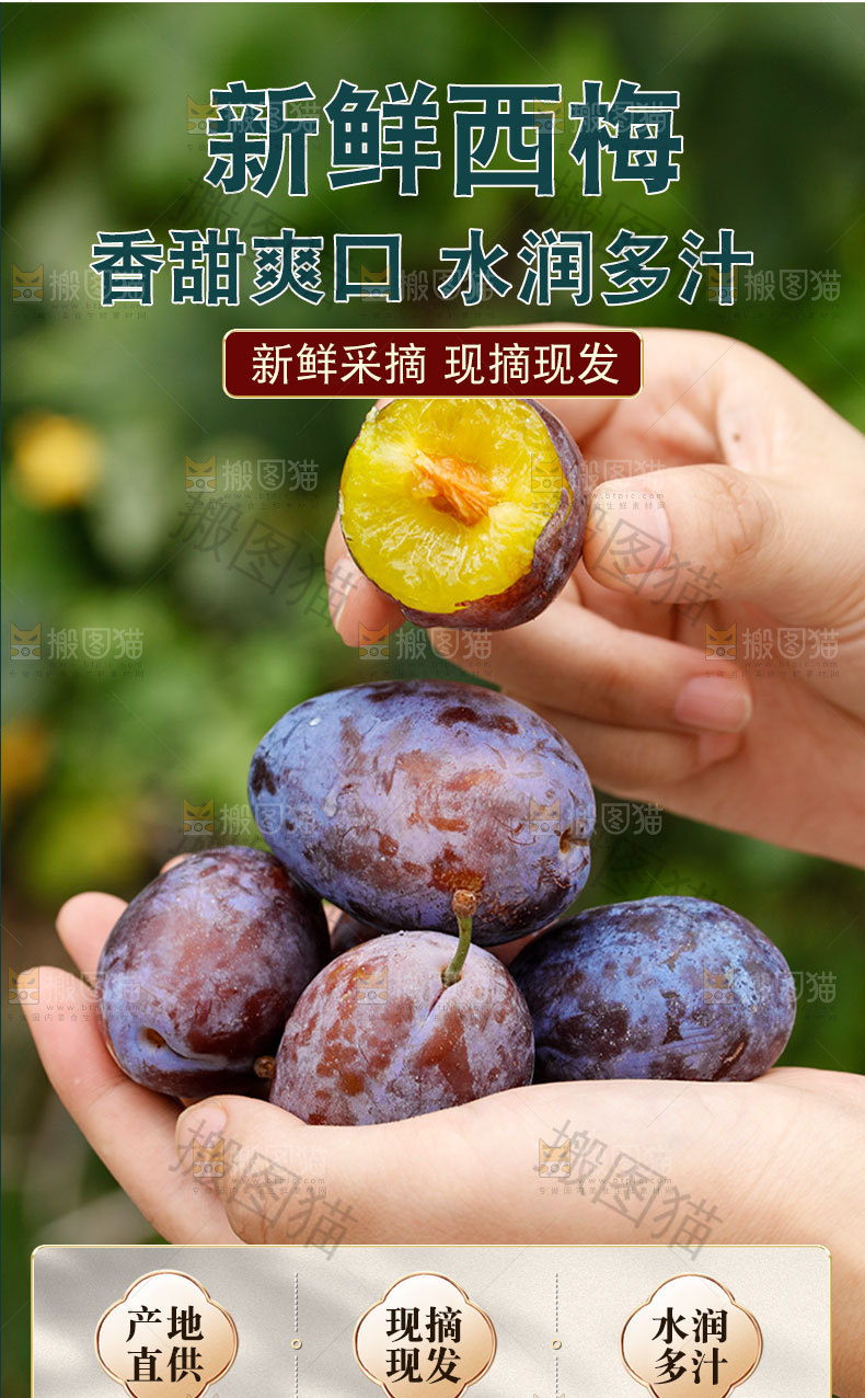 新鲜西梅详情页