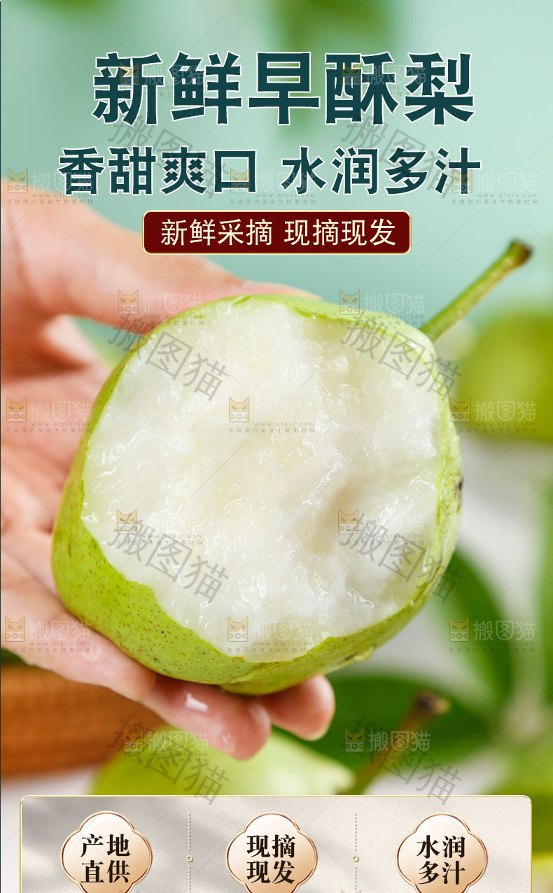 新鲜早酥梨详情页
