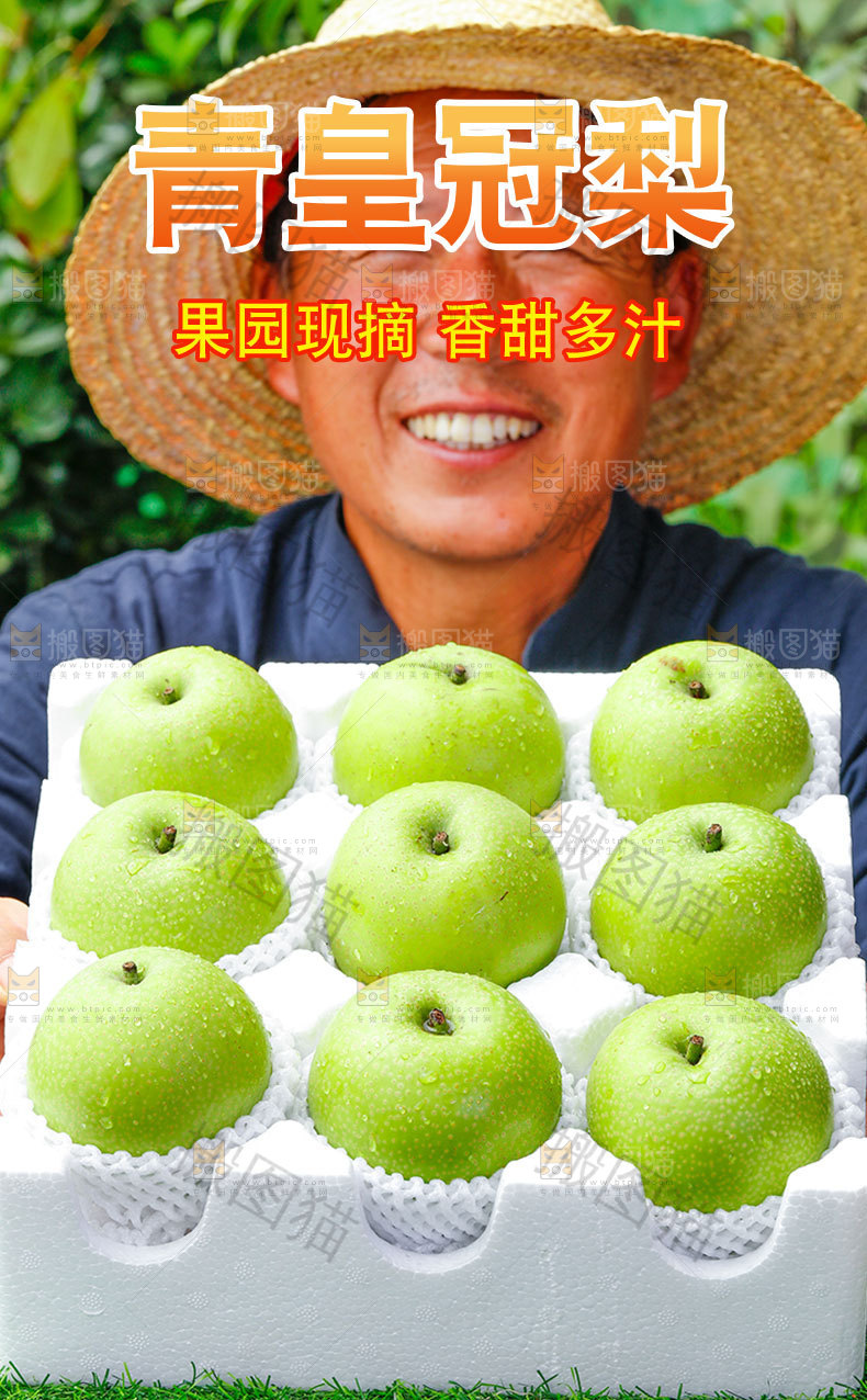 青皇冠梨详情页