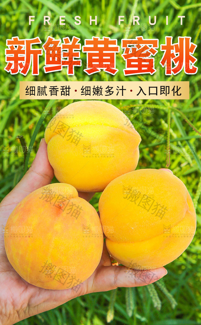 新鲜黄蜜桃详情页