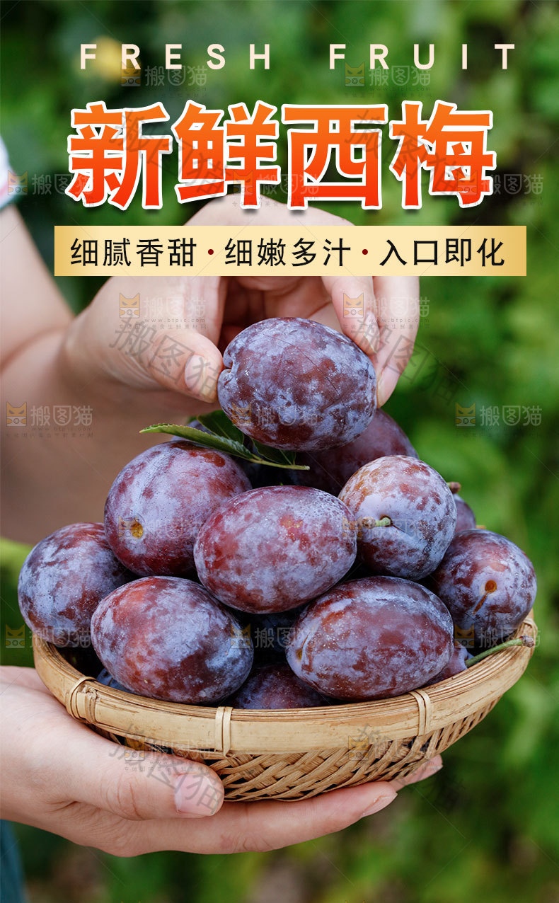 新鲜西梅详情页
