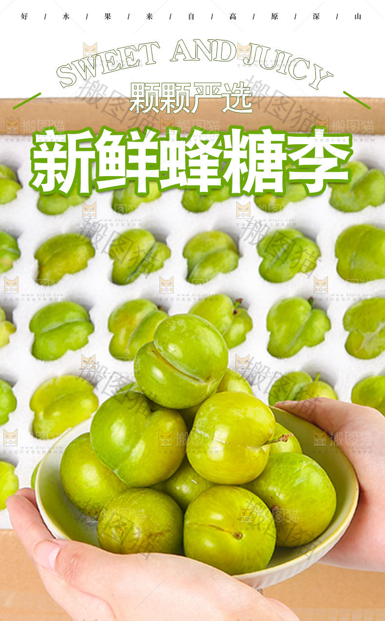 新鲜蜂糖李详情页