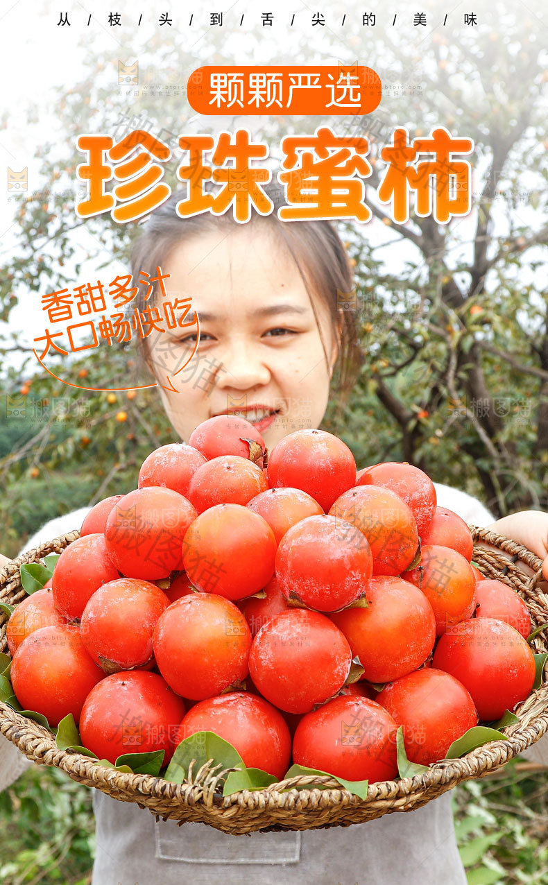珍珠蜜柿详情页