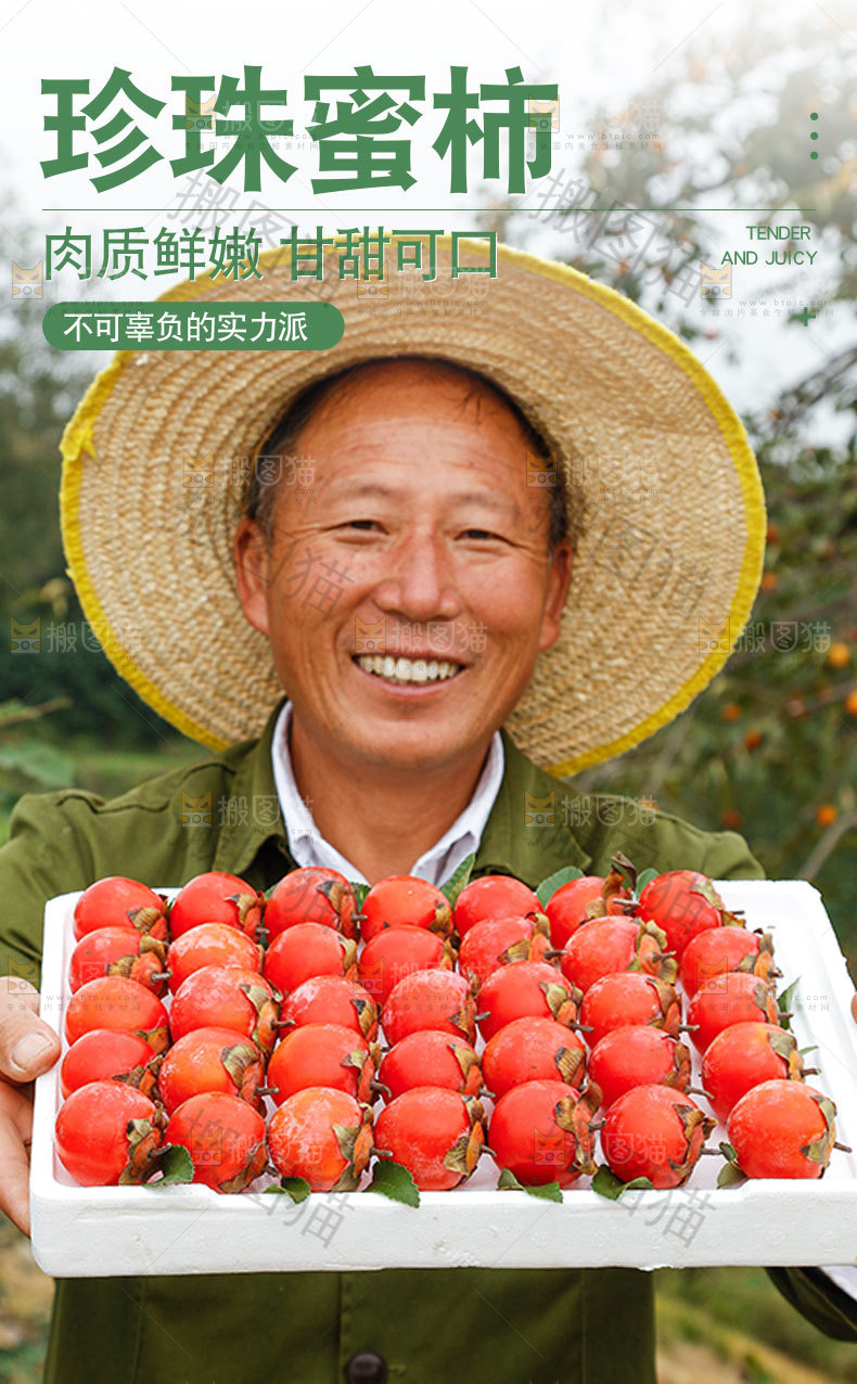 珍珠蜜柿详情页