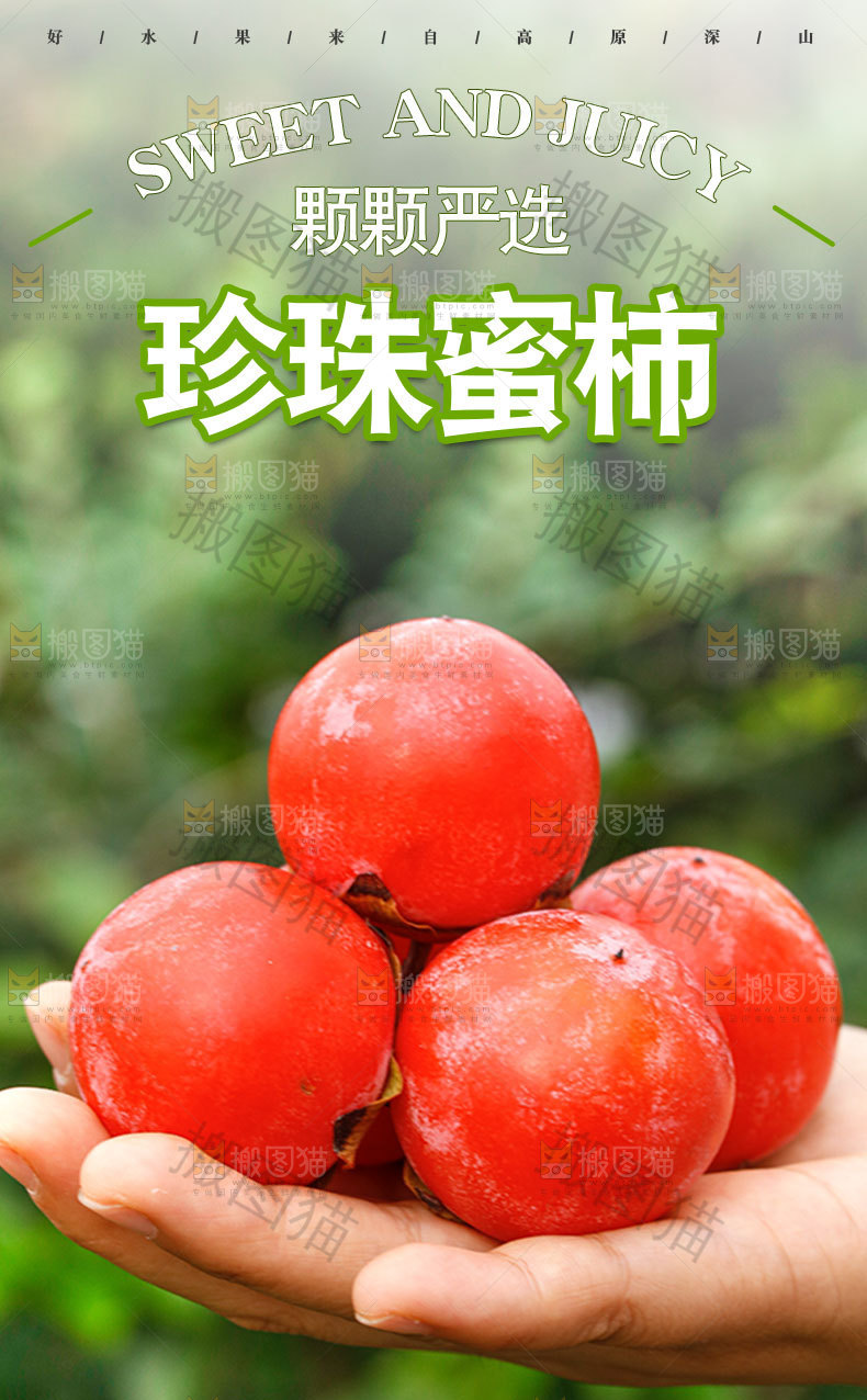 珍珠蜜柿详情页