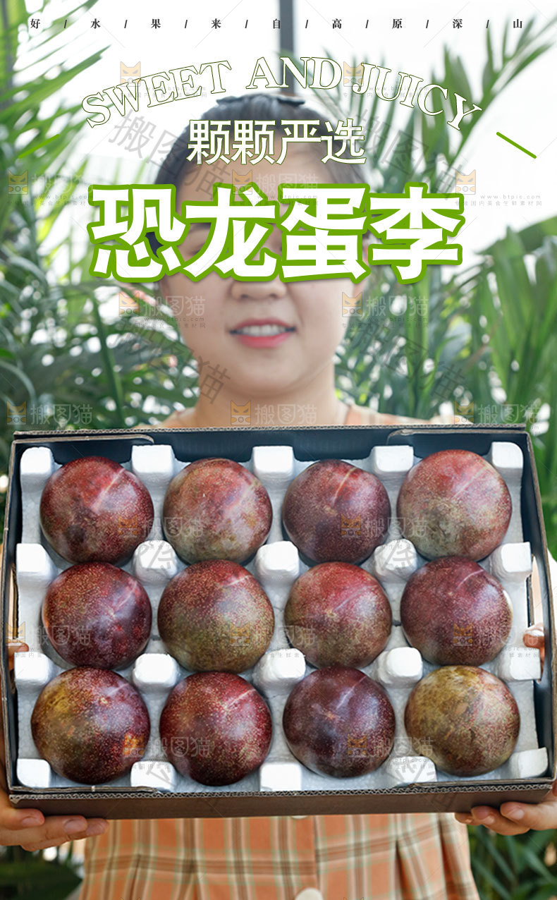 恐龙蛋李详情页