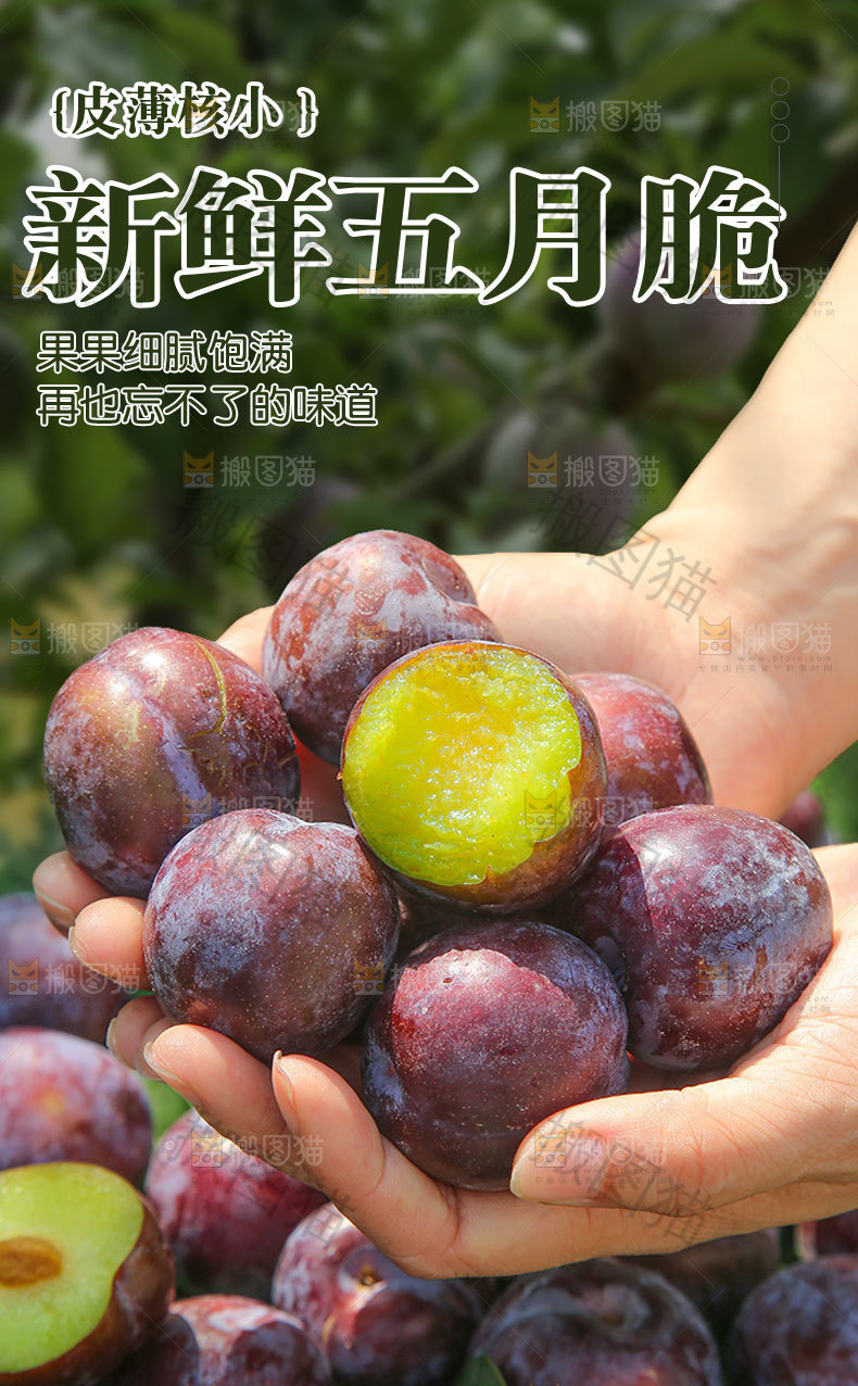 五月脆详情页