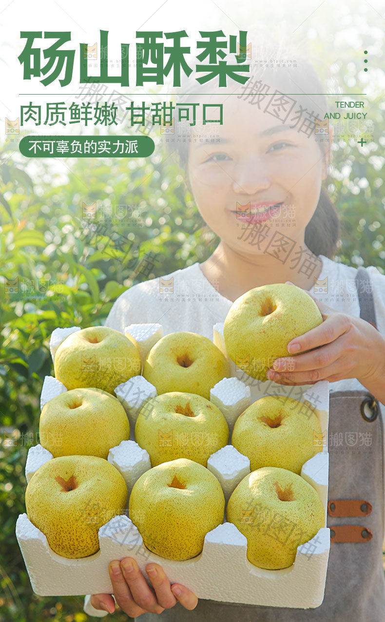 砀山酥梨详情页