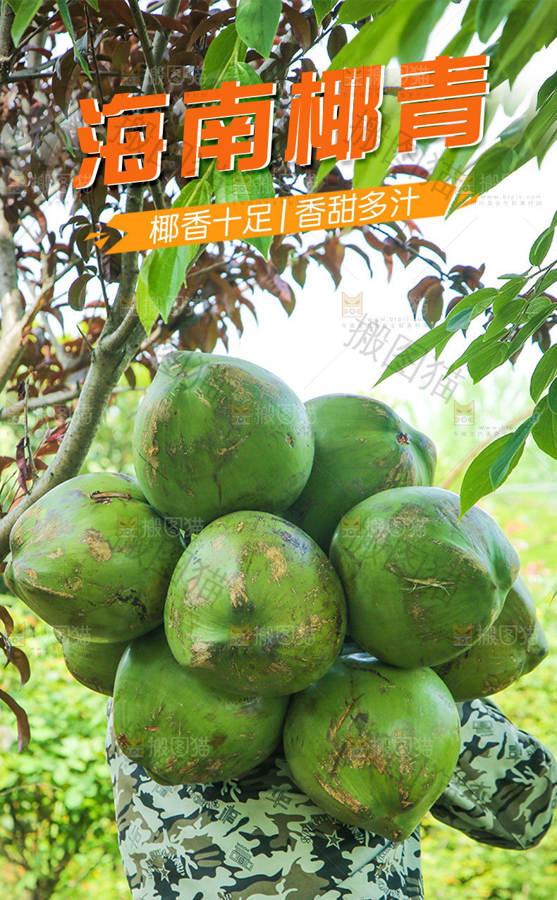 海南椰青详情页