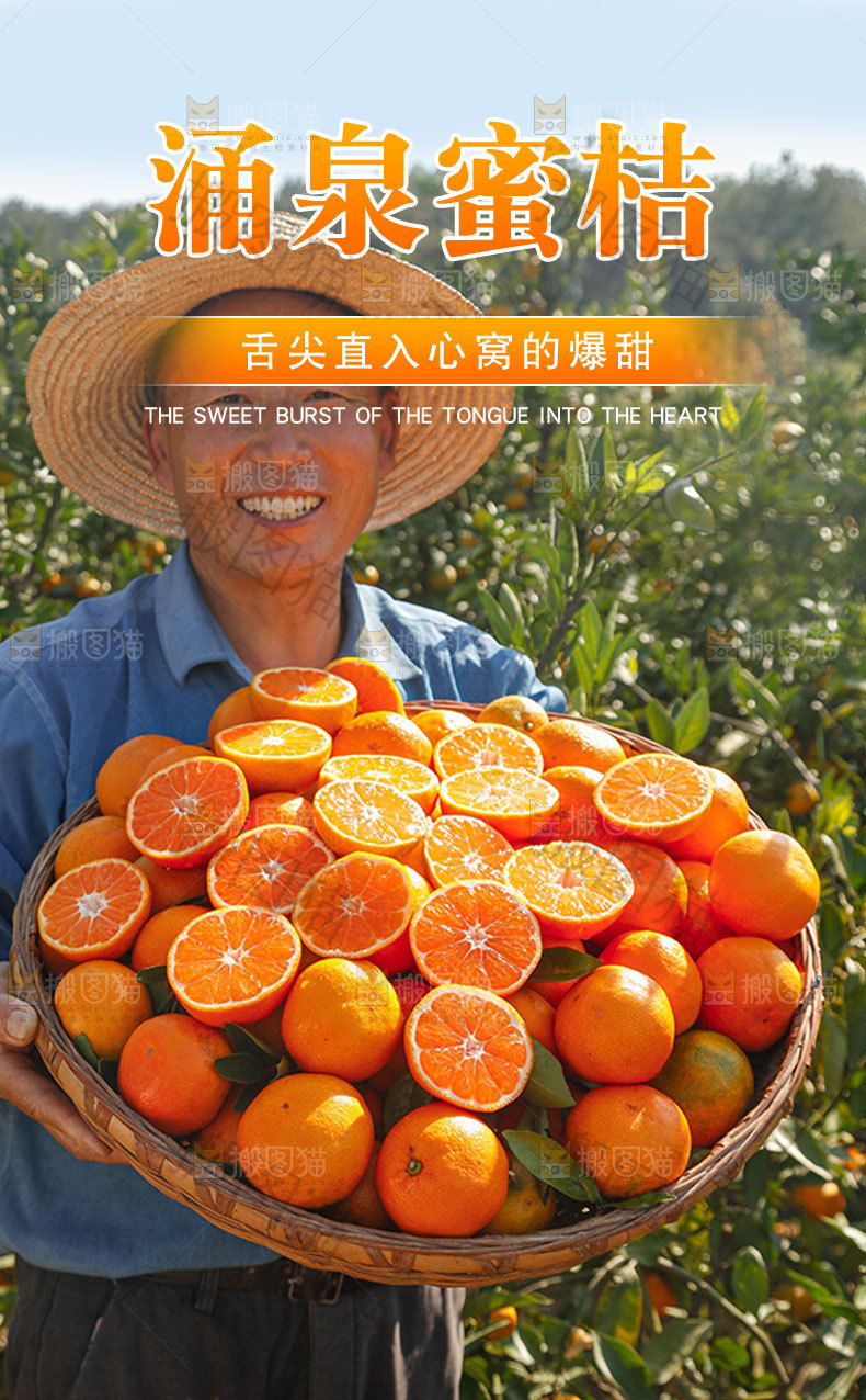 涌泉蜜桔详情页